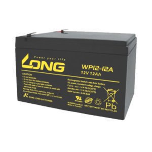 LONG WP12-12A 12V 12Ah Sealed Lead-Acid Battery